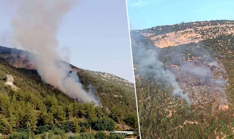 Mersin'de orman yangını: Ekiplerin müdahalesi devam ediyor