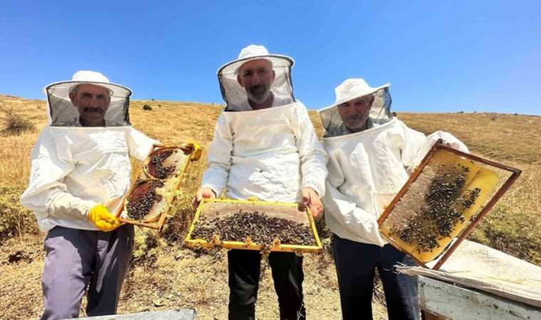 Sıcaklıklar bal üretimini yüzde 100 düşürdü