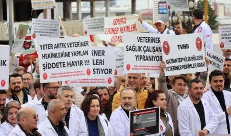 Veteriner hekimler iş bırakıyor: Sağlıkta Şiddet Yasası kapsamına alınmak istiyorlar