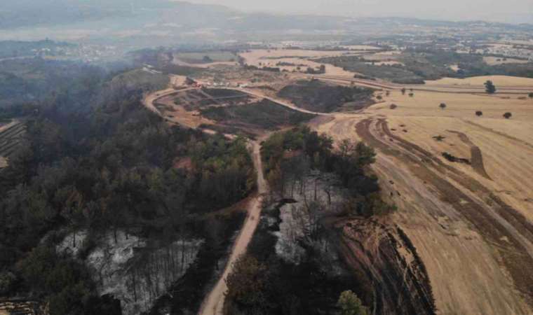 Çanakkale'deki yangının boyutu gün ağarınca ortaya çıktı!