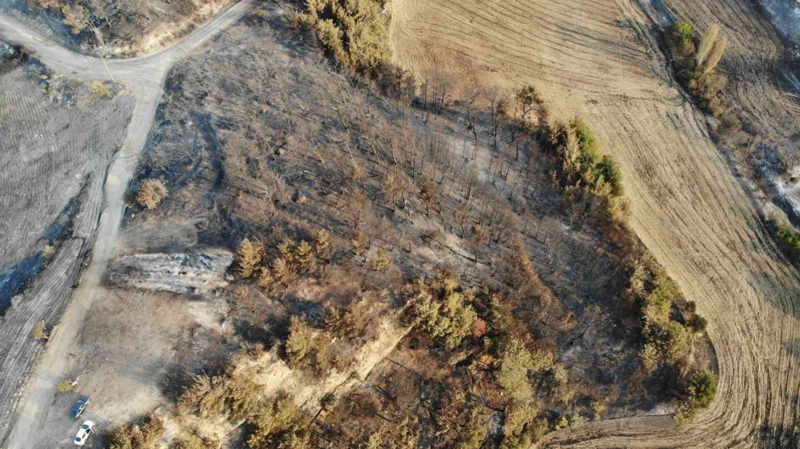 Çanakkale’de orman yangınının 3. gününde yanan alanlar böyle görüntülendi