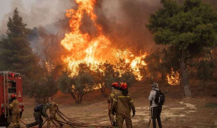 Wildfire in Greece's Evros Region Declared the Largest in 20 Years