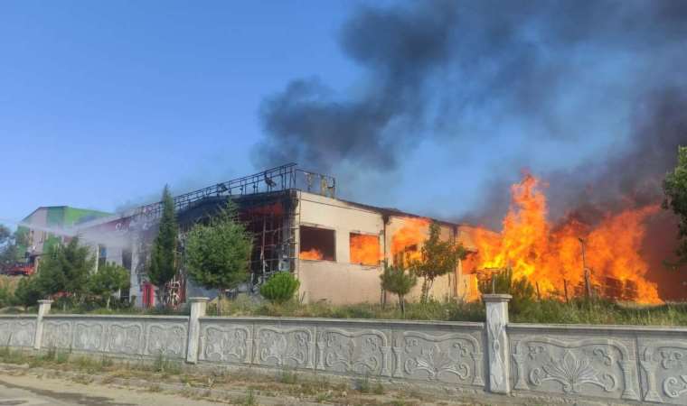 Kastamonu'da ahşap kapı fabrikasında yangın!