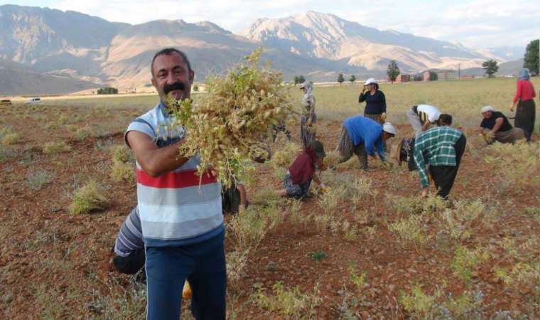 Tunceli Belediye Başkanı Fatih Mehmet Maçoğlu Cumhuriyet TV yayınına katıldı: 'Neden kâr edelim, belediye tüccar mı?'