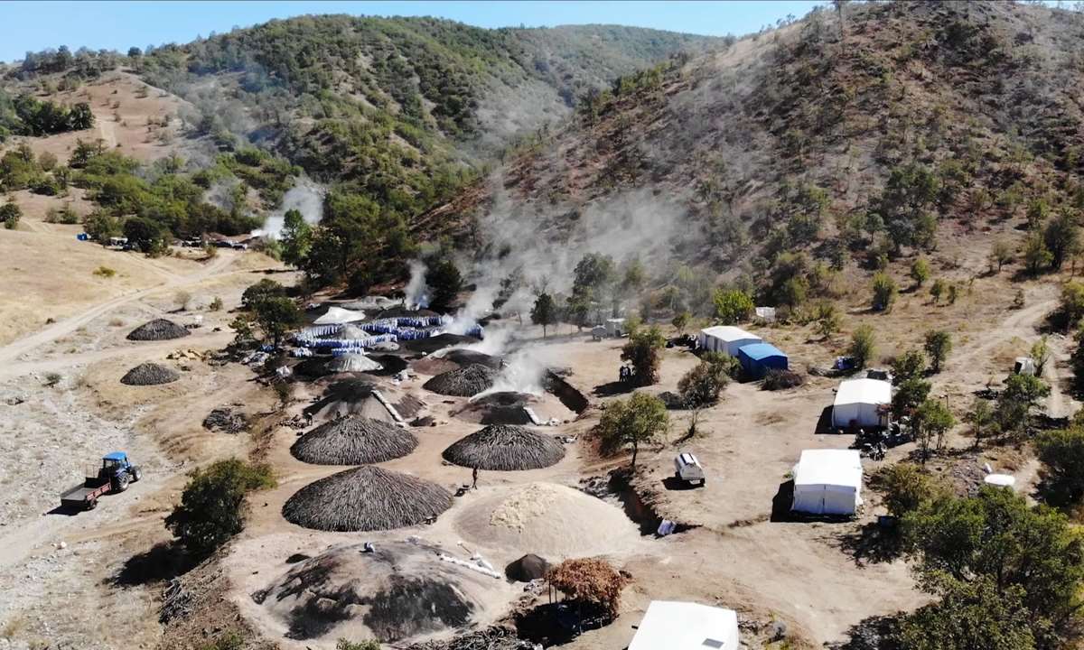 Bu iş için 800 kilometre yol gidiyorlar! Tonu 14 bin liraya satılıyor