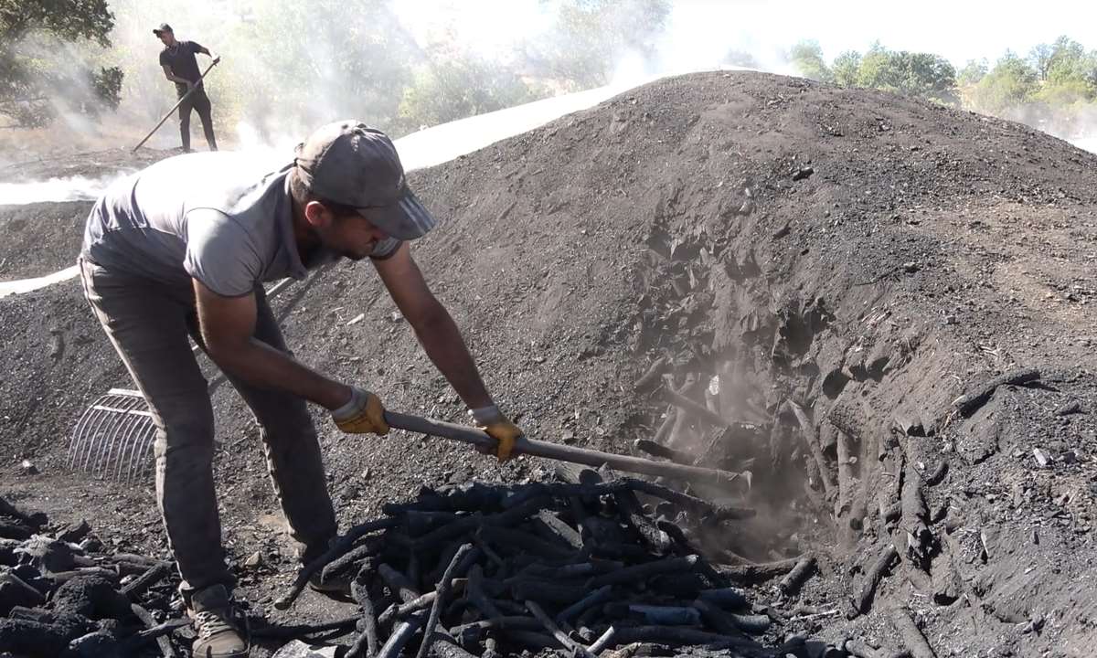 Bu iş için 800 kilometre yol gidiyorlar! Tonu 14 bin liraya satılıyor