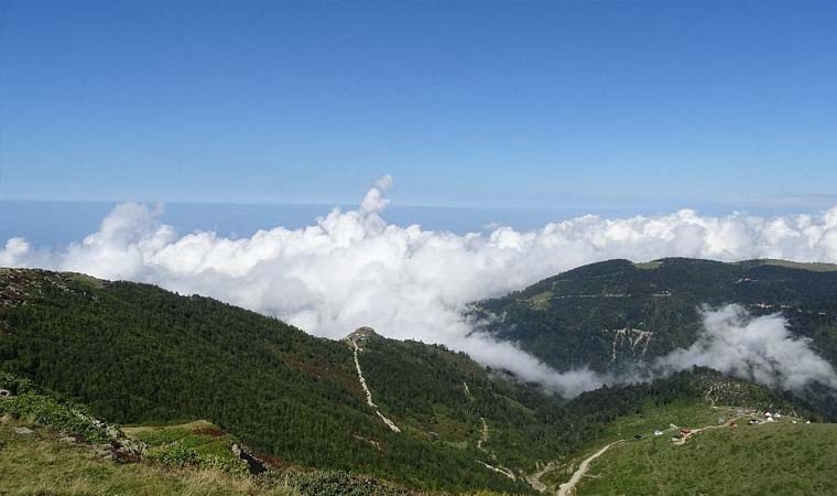 Doğanın kucağında huzurun adresi: Trabzon yaylaları...