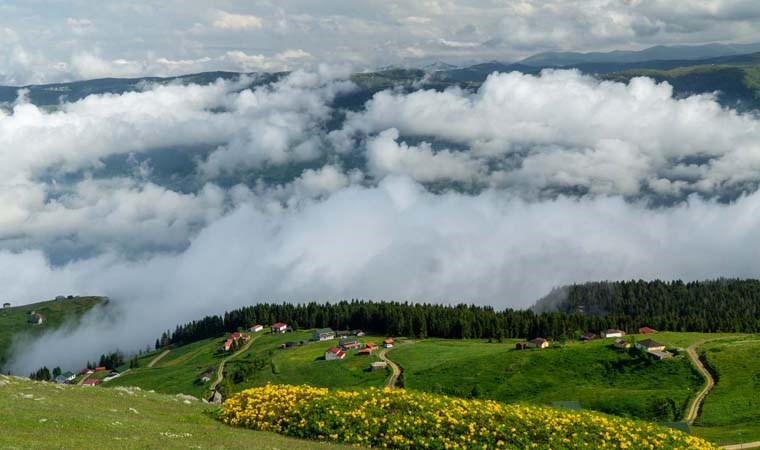 Doğanın kucağında huzurun adresi: Trabzon yaylaları...