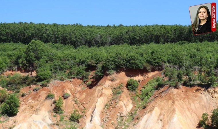 Maden ocağı açmak istiyorlar: Kuzey’de yeni talan tehlikesi