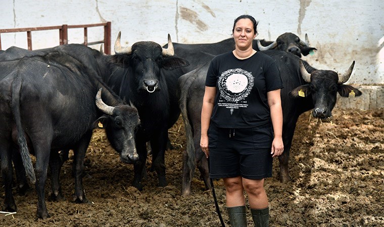 İş bulamayınca kurduğu manda çiftliğinin patronu oldu