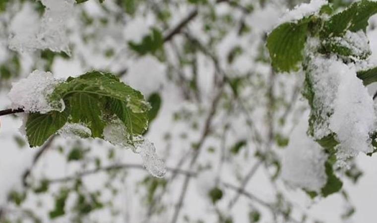 Meteorolojiden zirai don uyarısı