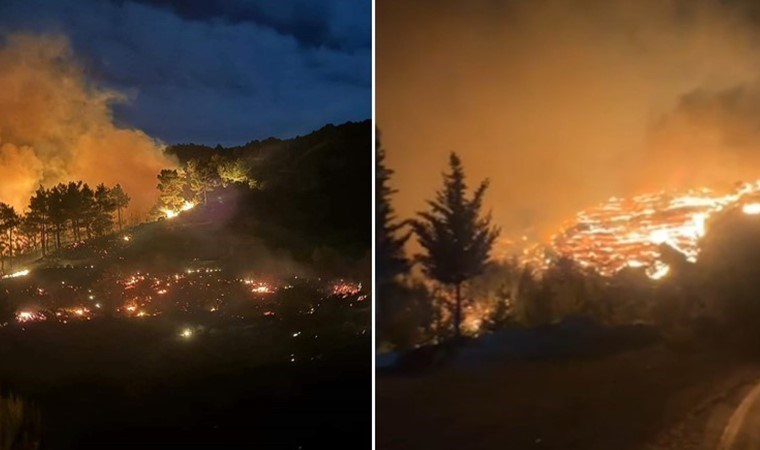 Dalaman'da orman yangını... Belediye başkanından ‘hava desteği’ çağrısı!