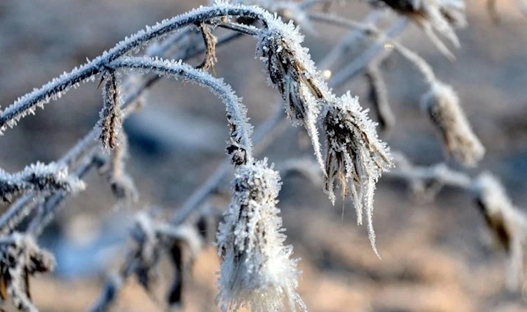 Meteoroloji'den 'zirai don' uyarısı