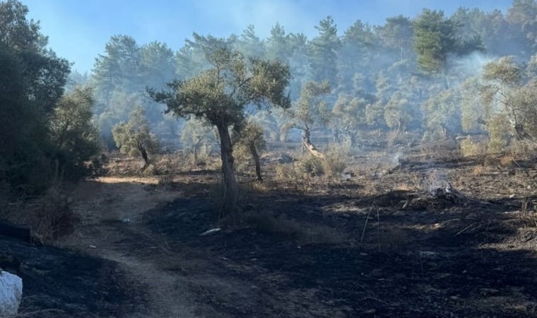 Muğla'daki orman yangını kontrol altına alındı