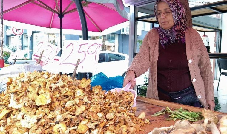 Ordu’nun yüksek rakımlı bölgelerinde yetişiyor! Fiyatı 250 liraya düştü...