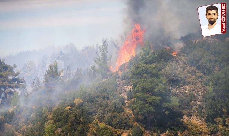 Muğla'nın Dalaman, Menteşe, Milas ilçelerinde orman yangını çıktı