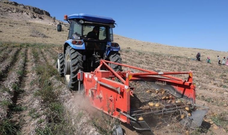 Aksaray'da hasat zamanı: Tarlada 2, tezgahta 15 TL