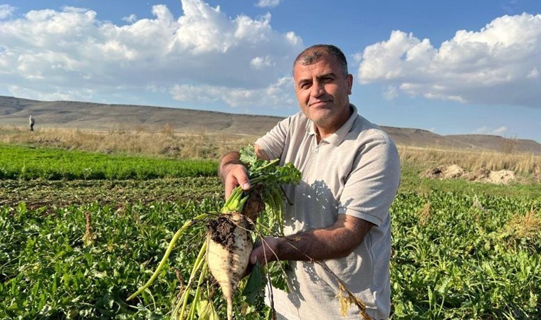 Akyaka’da hasat başladı: Onlarca TIR ile taşınıyor...