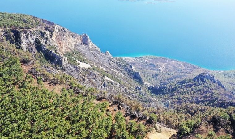 Muğla’da 849 hektar ormanlık alan kül oldu