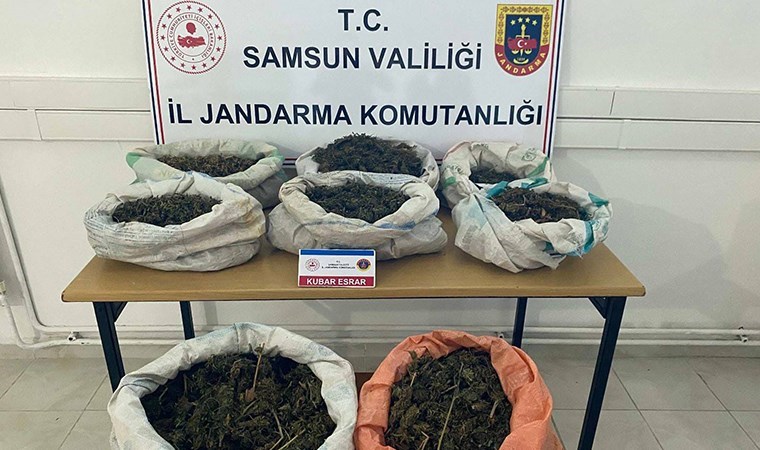 Ormanlık alandaki çadırda 8,5 kilo esrar ele geçirildi