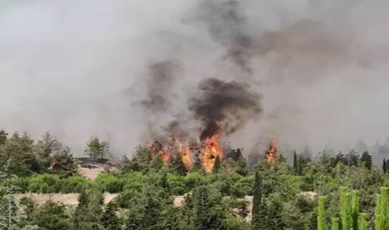 Denizli yangını beş gündür devam ediyor… Tavas Belediye Başkanı Tatık’tan yardım çağrısı!