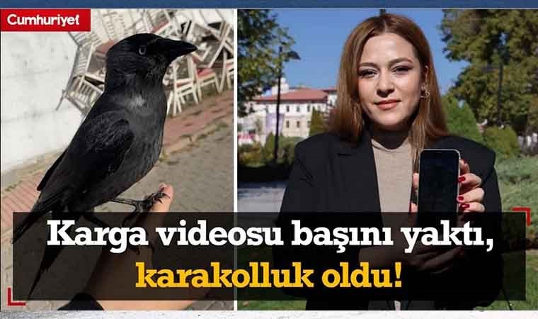 Karga videosu sosyal medyada viral olmuştu!