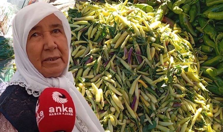 Kilosu 70 liraya çıkan turşuluk biberin fiyatı yurttaşı bezdirdi: 'Emekliler bir şey yemesin, soğan ekmek...'