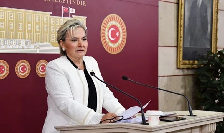 Partisinden istifa eden İstanbul Milletvekili Nimet Özdemir CHP'ye katılıyor