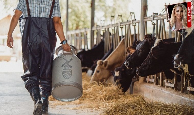 Bir kilo yeme bir litre süt