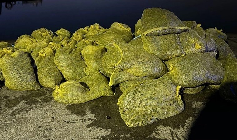 Üsküdar’da 2 ton 'kaçak midye' ele geçirildi