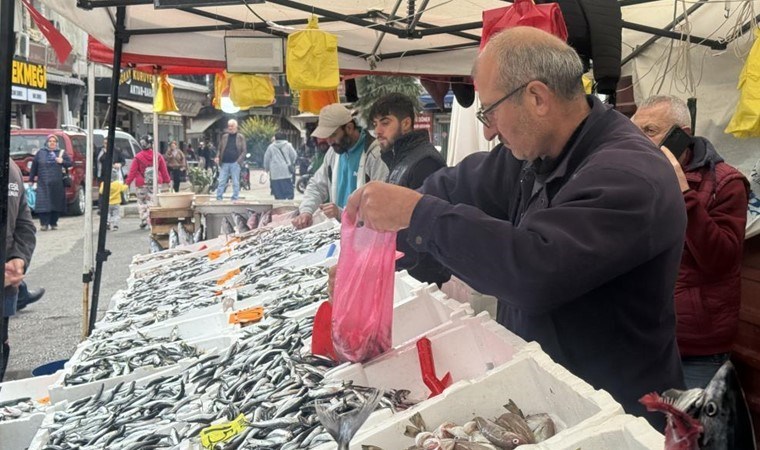 Tezgâhların yeni gözdesi: Palamudu tahtından etti! Kilosu 100 TL...