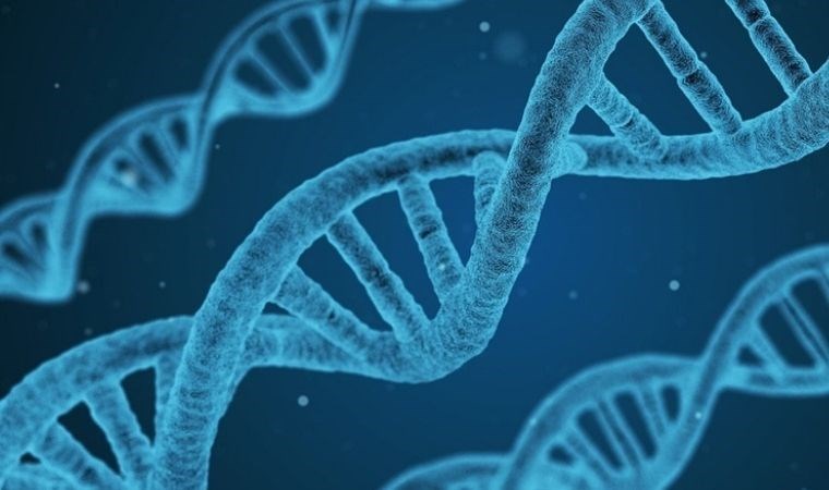 Türklerin genetik kodları ortaya çıktı! 81 şehirden 4 bin kişinin DNA'sı incelendi