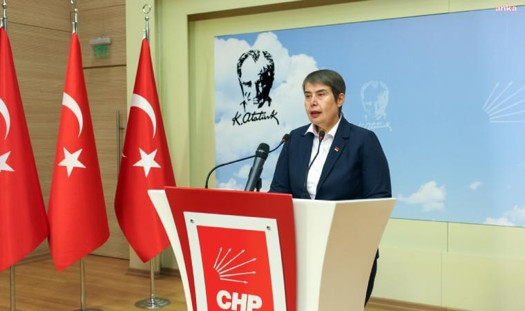 CHP'li Zeliha Aksaz Şahbaz: Ülkemizde 9.5 milyon tedavi altında diyabet hastası var, sayı her geçen yıl daha da artıyor