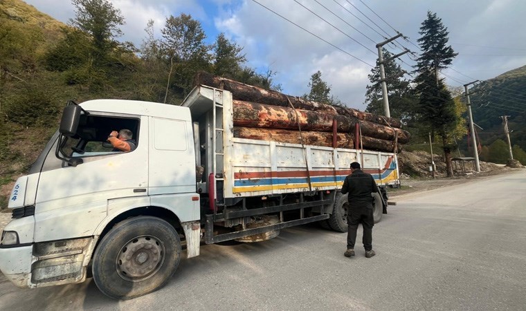 Bolu'da orman kaçakçılığı denetimi: 'Kaçak odun' dolu kamyonlar yakalandı