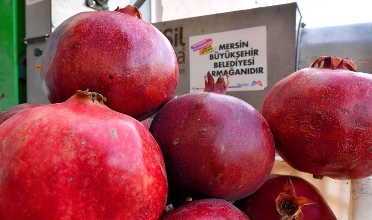 Mersin Büyükşehir Belediyesi'nden üreticilere nar taneleme makinesi desteği