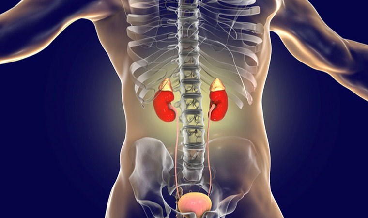 Adrenal kitleler: Sessiz tehlike hakkında bilinmesi gerekenler