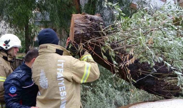 Kartal’da şiddetli fırtına: Park halindeki otomobilin üzerine ağaç devrildi