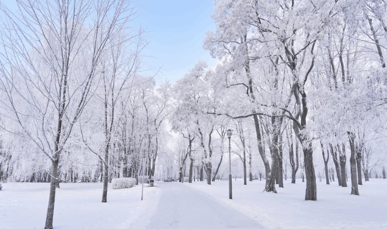 Meteoroloji paylaştı: Kar yağışı bekleniyor! 5 günlük hava durumu...