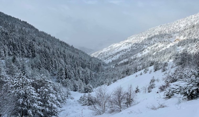 Karadeniz kar altında: 442 yol kapandı, okullar tatil edildi!