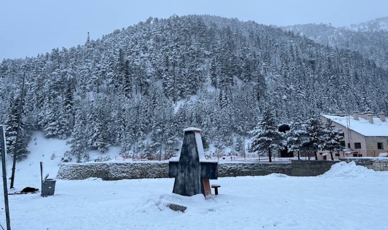 Karadeniz kar altında: 442 yol kapandı, okullar tatil edildi!