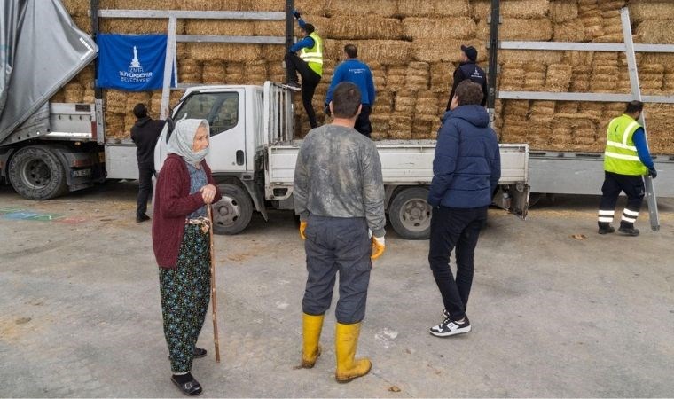 Yangın mağduru çiftçilere 225 ton yem desteği