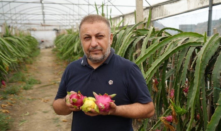 İnternetten gördü, yetiştirmeye başladı! Taleplere yetişemiyor! Yılda 5 kez hasat ediliyor...