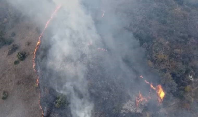 Çanakkale'de orman yangını: Havadan ve karadan müdahale!