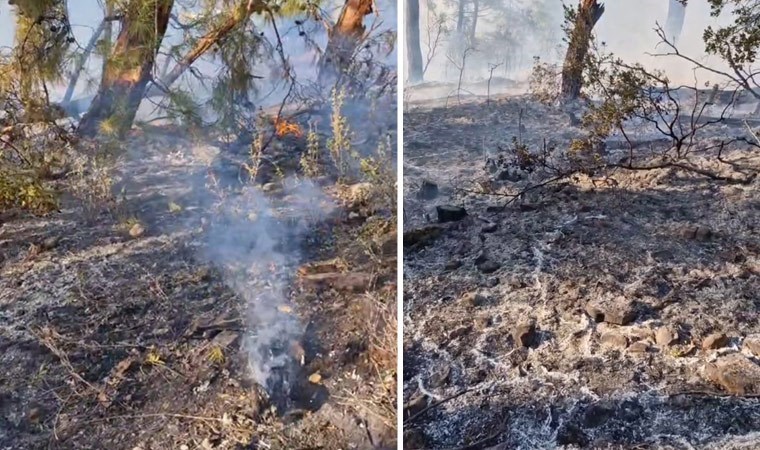 Antalya'da hava aracı ormanlık alana düşmüştü... Görgü tanıkları konuştu: 'Patlama çok büyüktü'