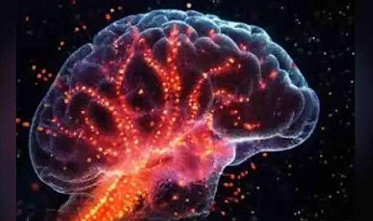 Uçuk virüsüne dikkat! Alzheimer'a neden olabilir