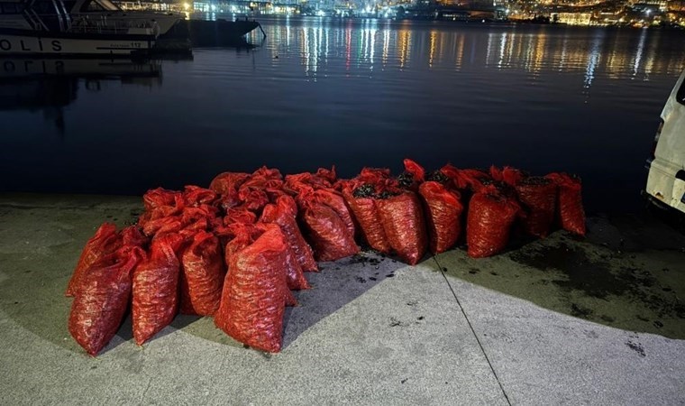 Kadıköy’de 1 ton kaçak midye ele geçirildi