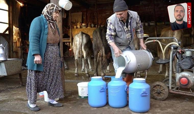 Çiğ süt fiyatlarının yedi aydır güncellenmemesi üreticiyi zor duruma soktu