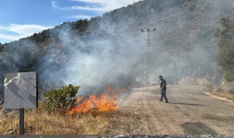 Antalya'da orman yangını kontrol altına alındı