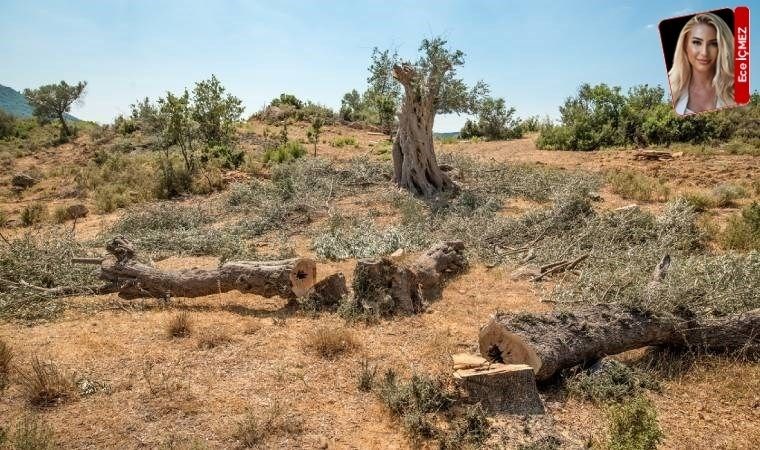 ‘ÇED raporları değiştiriliyor’