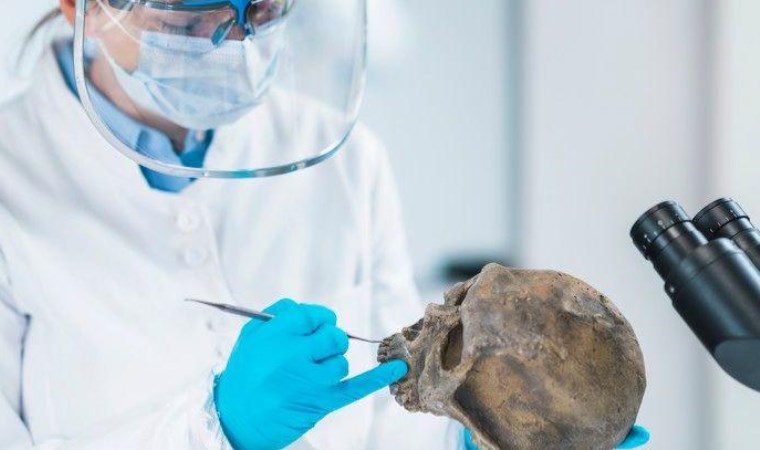 Neandertaller olmasaydı 'soyumuz tükenebilirdi'